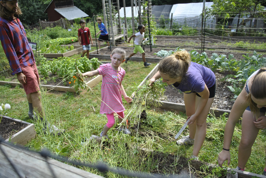 school-garden